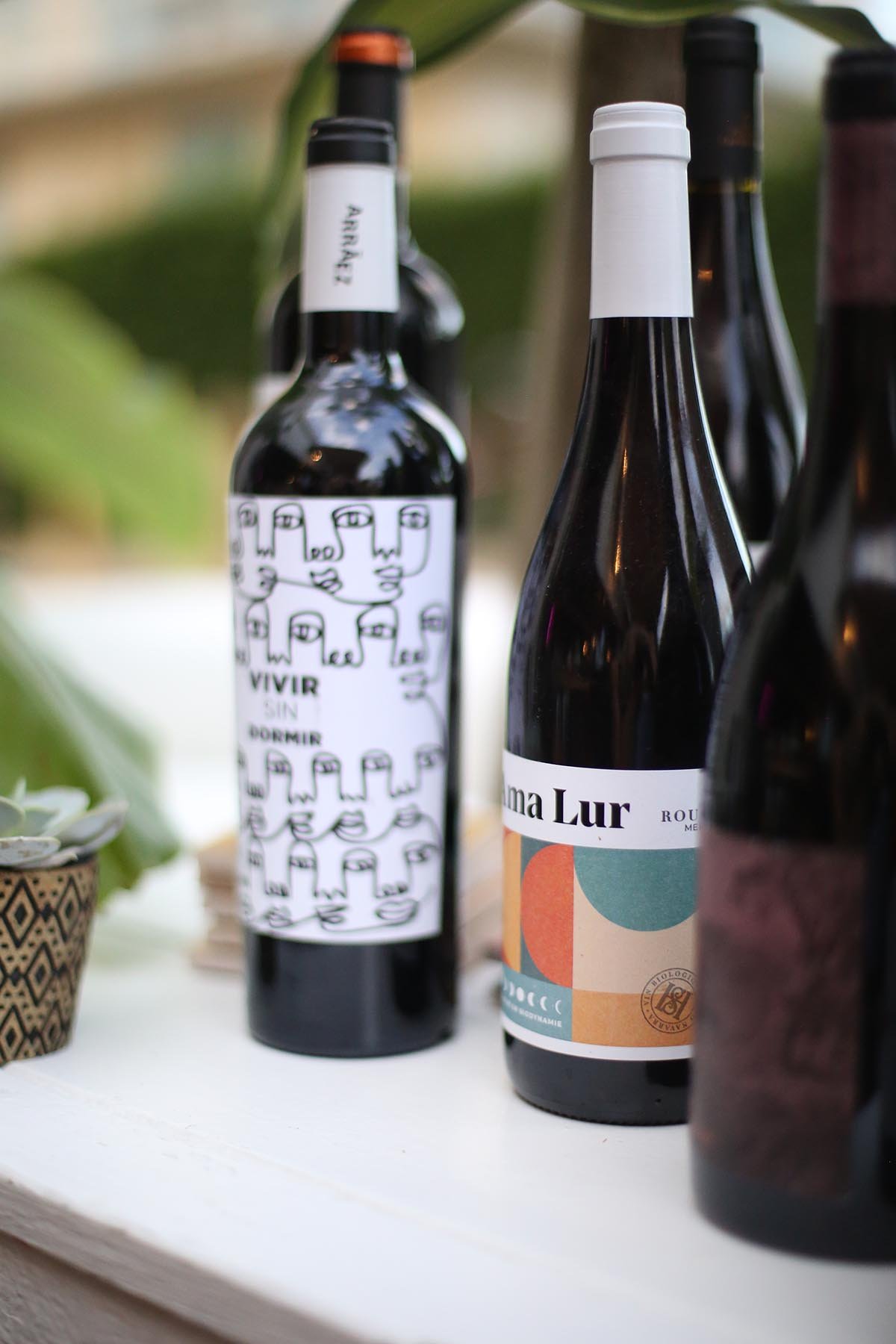 selection-vins-coolin.jpg
