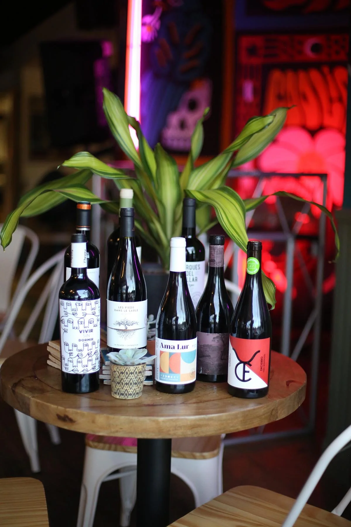 la sélection de vins sur une table au Coolin, avec une plante en arrière-plan