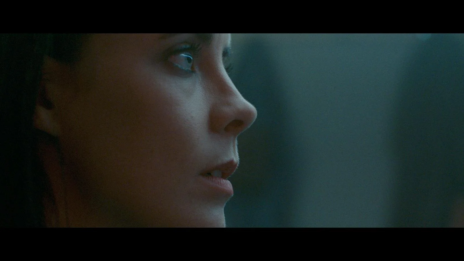 BLUEBIRD SHORT FILM (WRITER/DIRECTOR) CLICK TO WATCH 