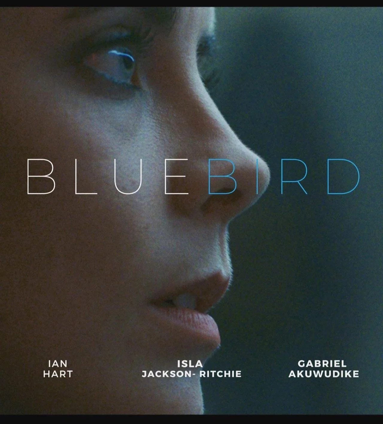 BLUEBIRD - Director/Writer - Click to watch. 