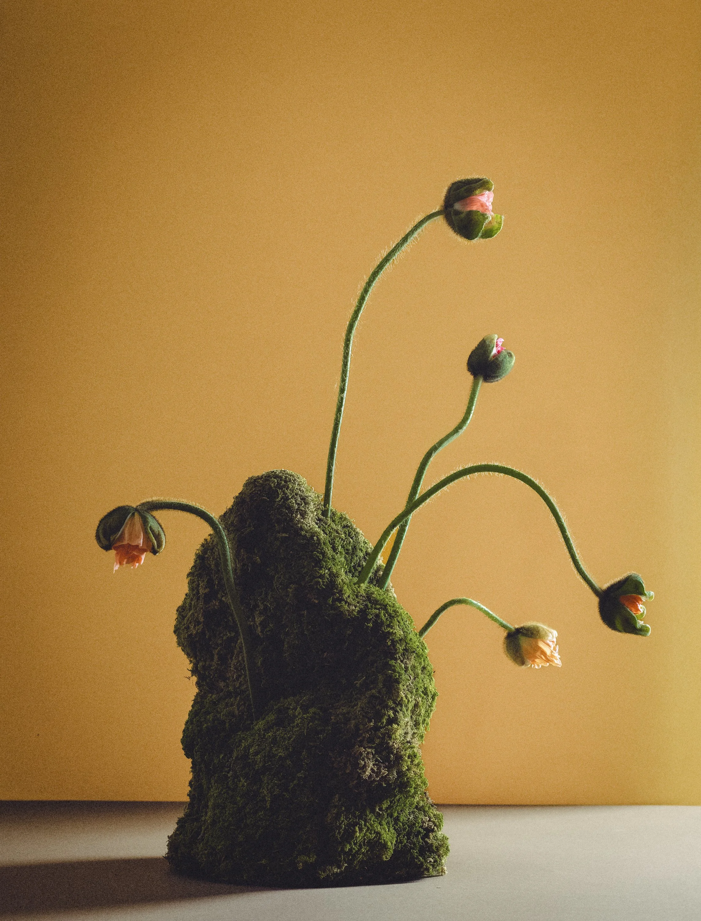 BLUMENXRAIN for VERT Magazine 2025 // Photography ©Vana Katančić