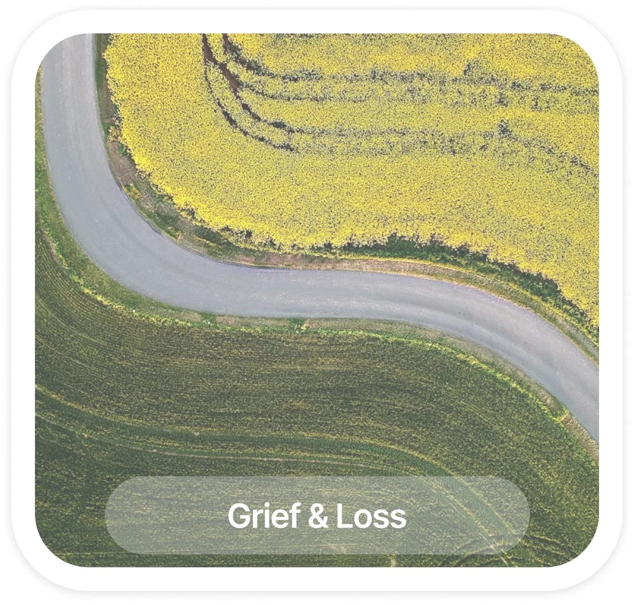 Aerial view of a winding road through yellow and green fields, with the text 'Grief & Loss' at the bottom.