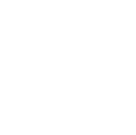 Expert Icon