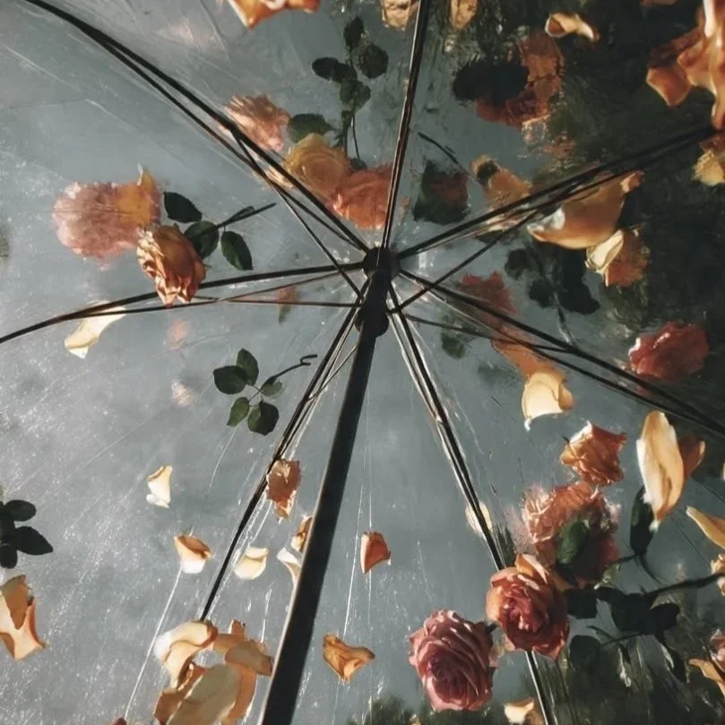 003 After Rain • August 2026