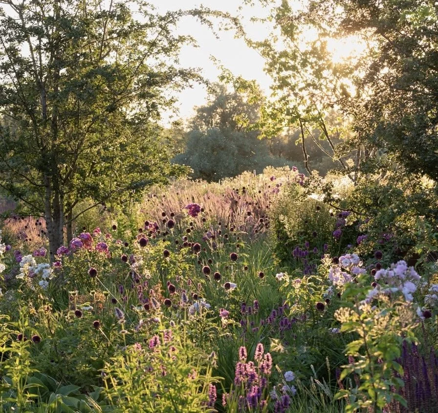 004 The Untamed Garden • September 2026