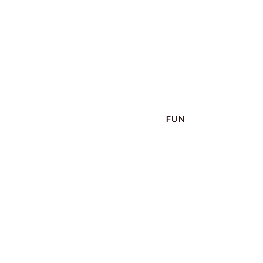 Venn diagram with section labeled "Fun"