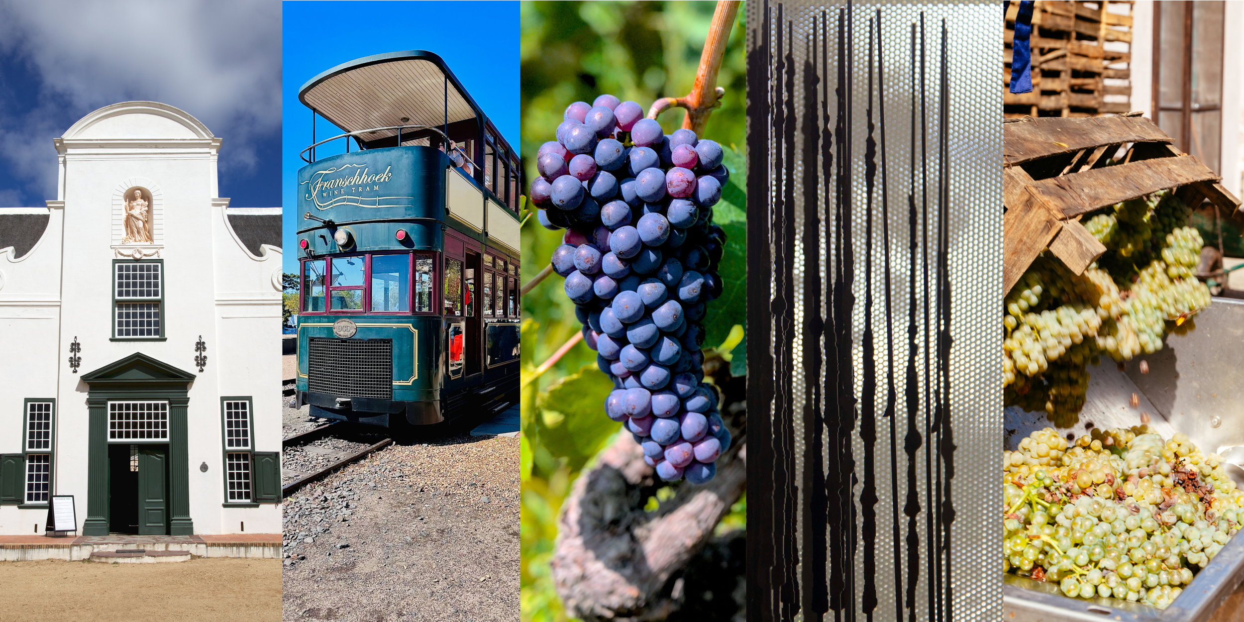 What Wine Teaches You About South Africa
