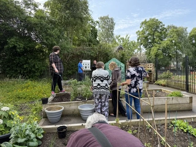 Garden.jpeg