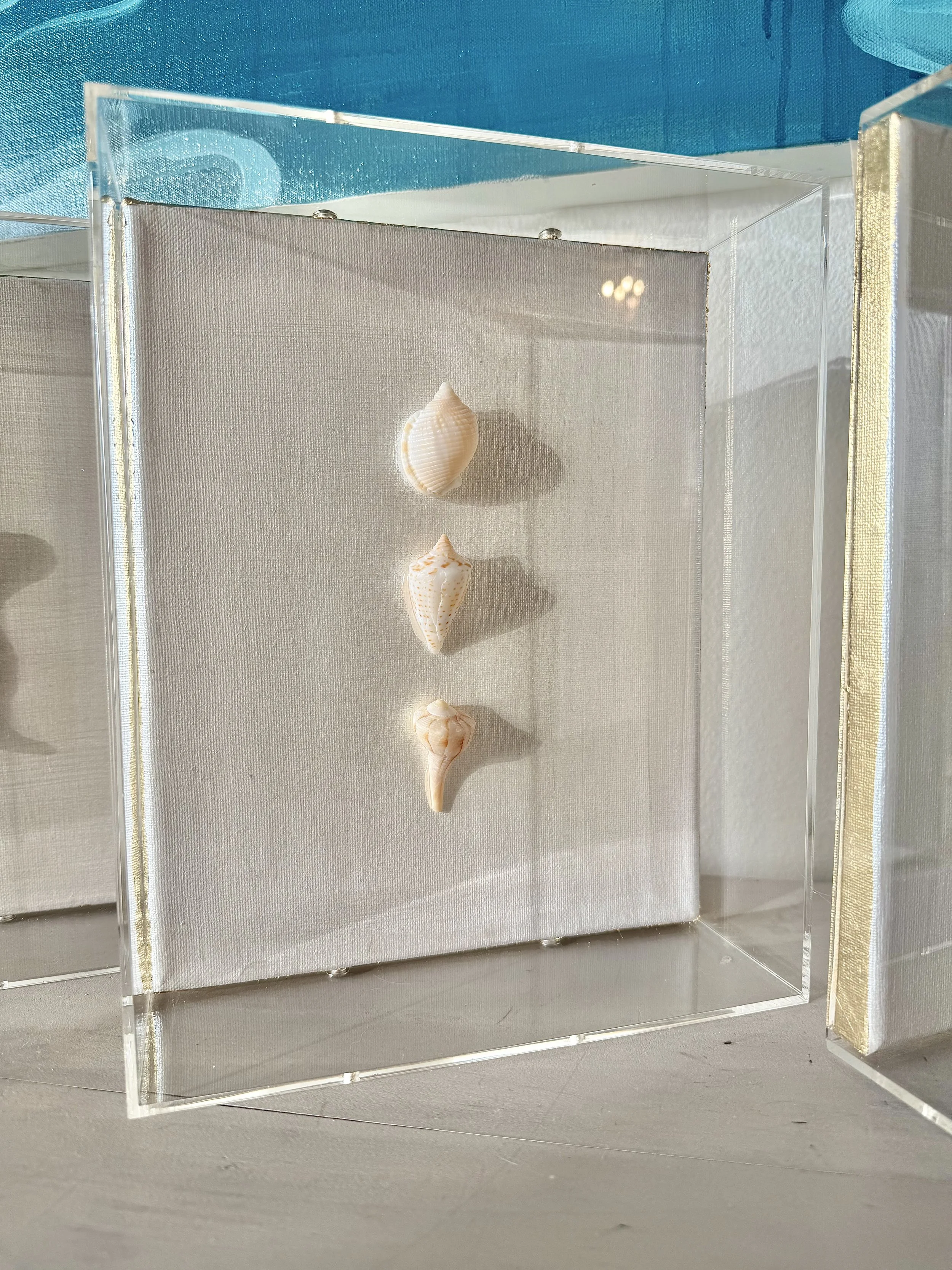 Gulf Coast Seashell Shadow Box - sold