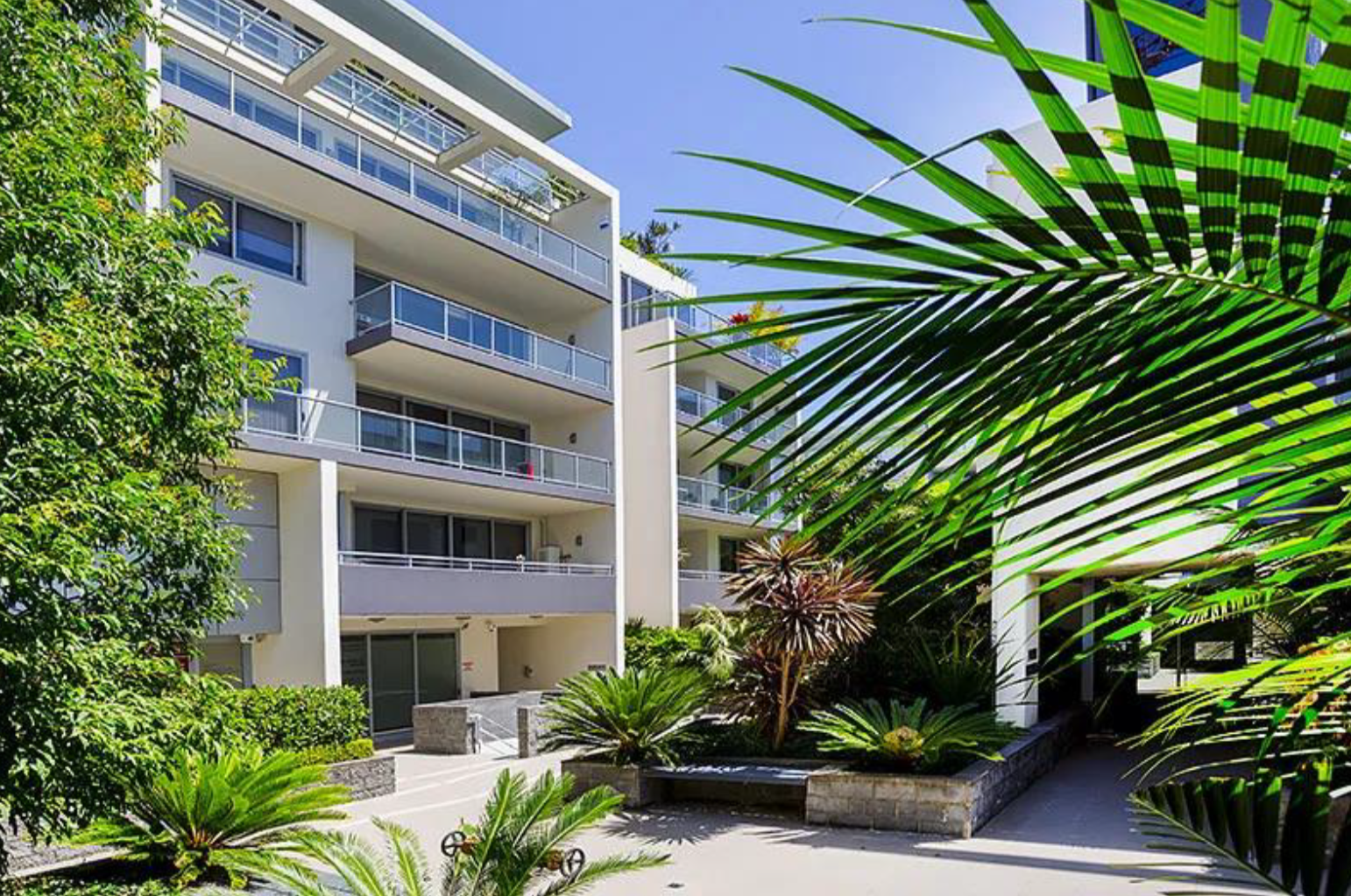 Modern white multi-story apartment building with glass balconies surrounded by tropical plants and palm trees on a sunny day.