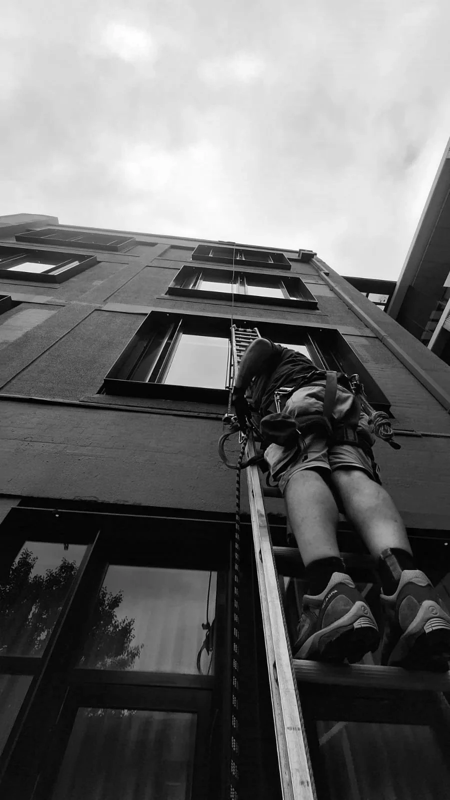A window cleaner in safety gear cleaning windows on a tall building using a harness and a long ladder.