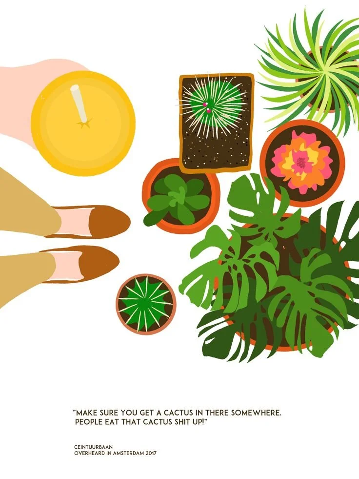 plant illustration by Joanne Zonderland-2.jpg