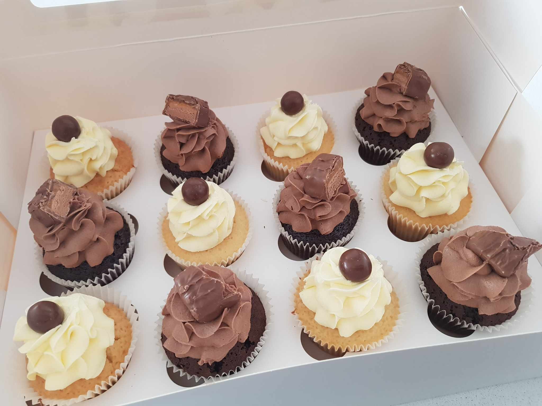 Treat Box Cupcakes