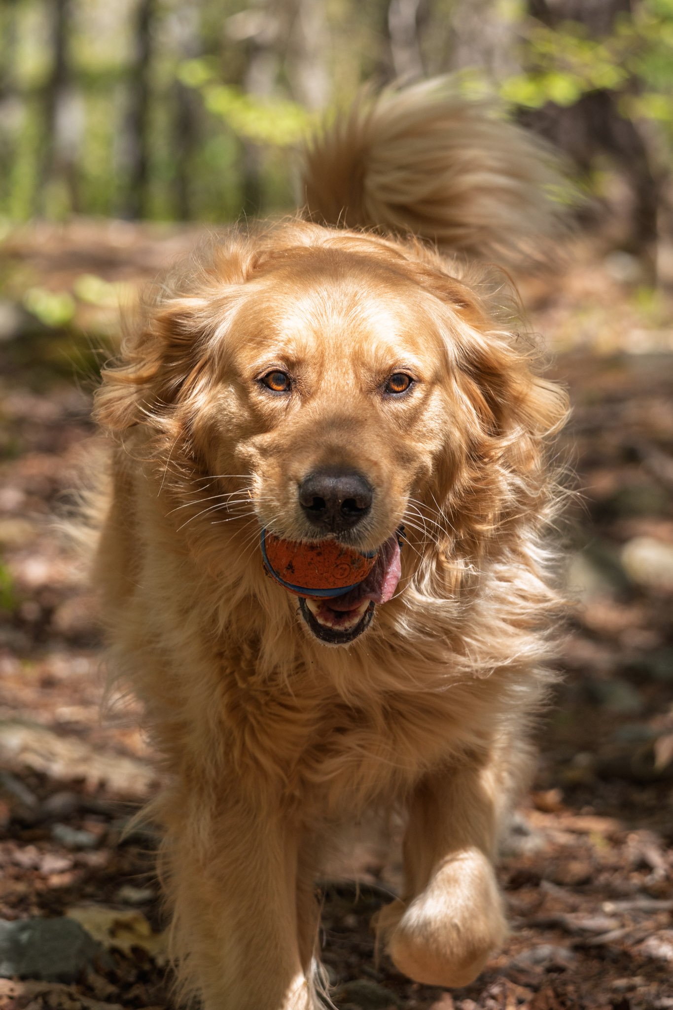 Winston_Rosie_04.jpg