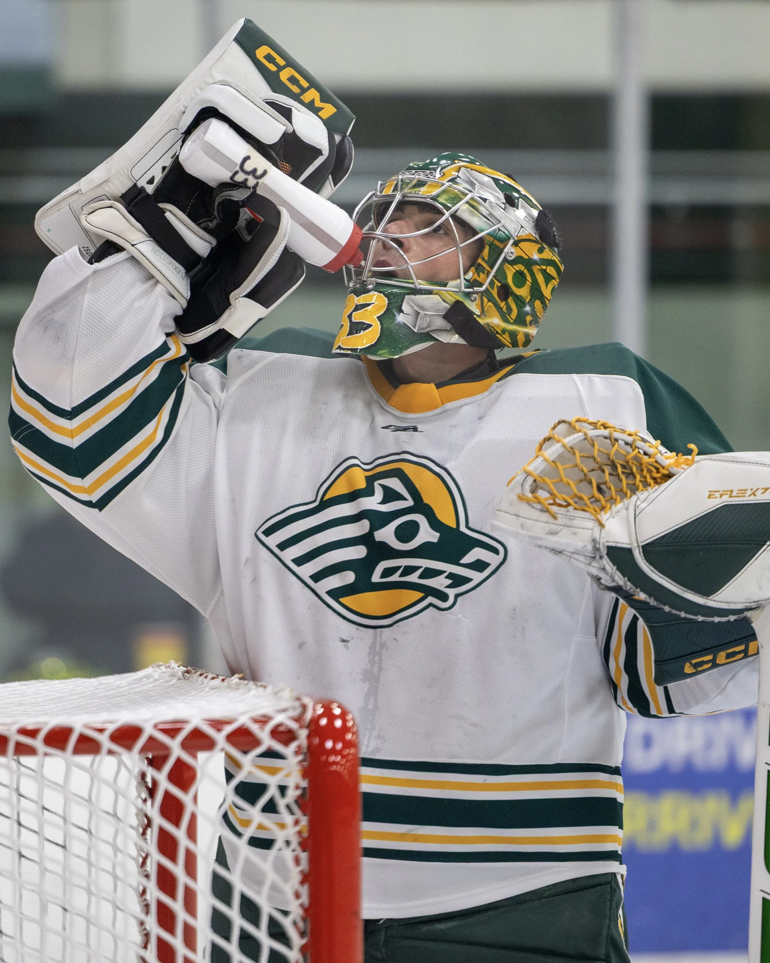A hockey goalie in a white and green uniform drinking from a water bottle during a game.