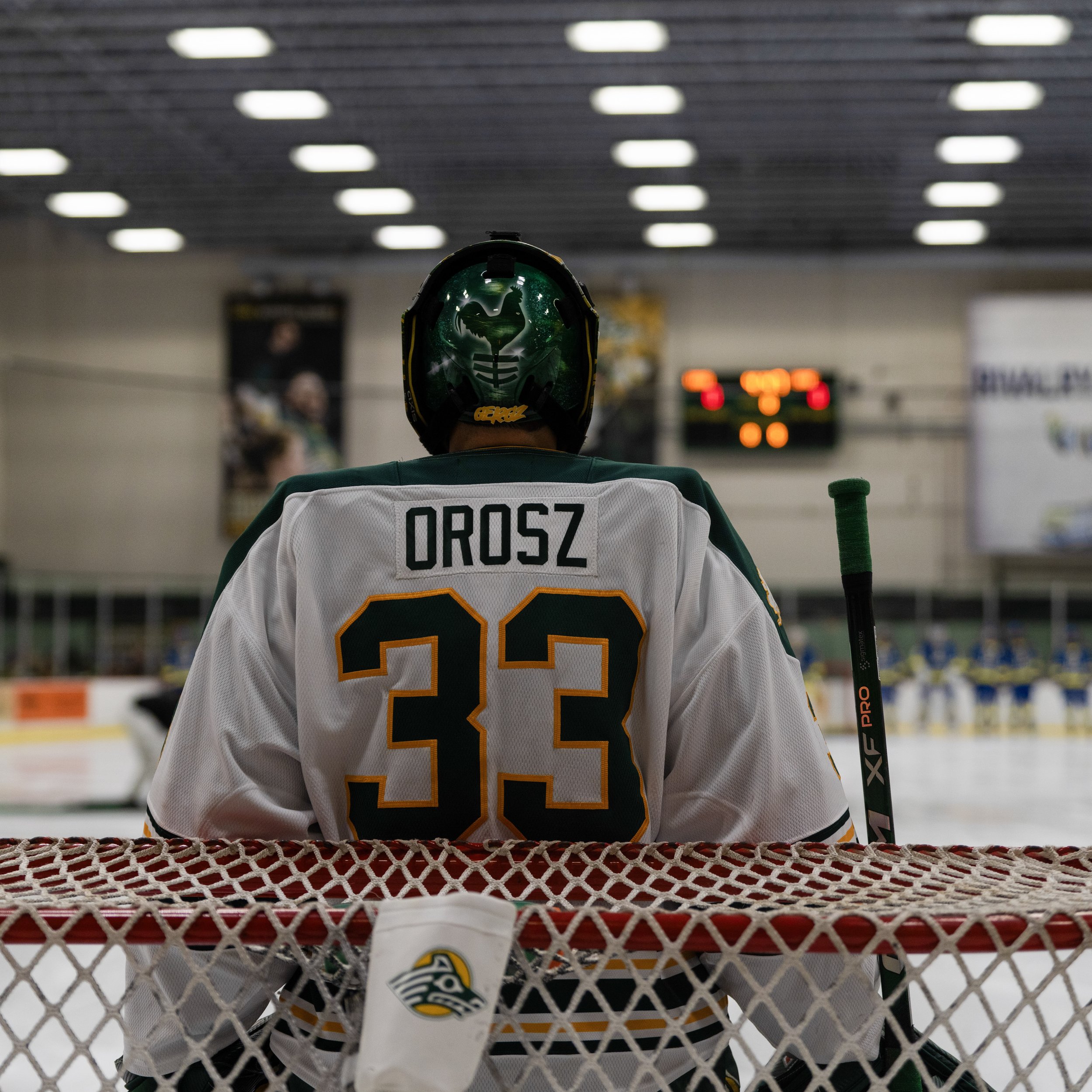 A hockey player wearing a helmet and jersey standing behind a hockey net in an indoor ice rink, viewed from behind.