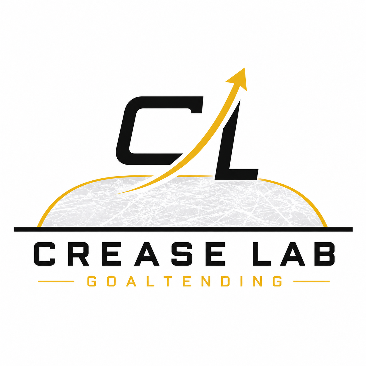 Individual Mentorship Program
