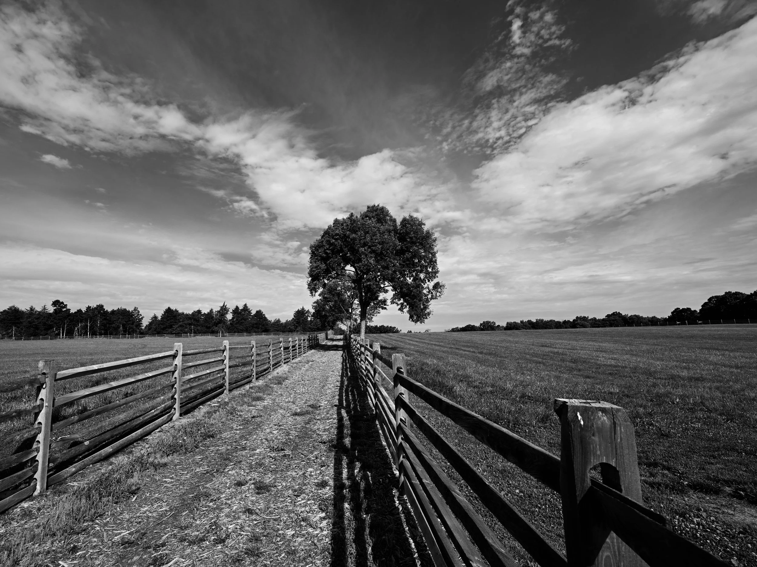Fence Line.jpeg