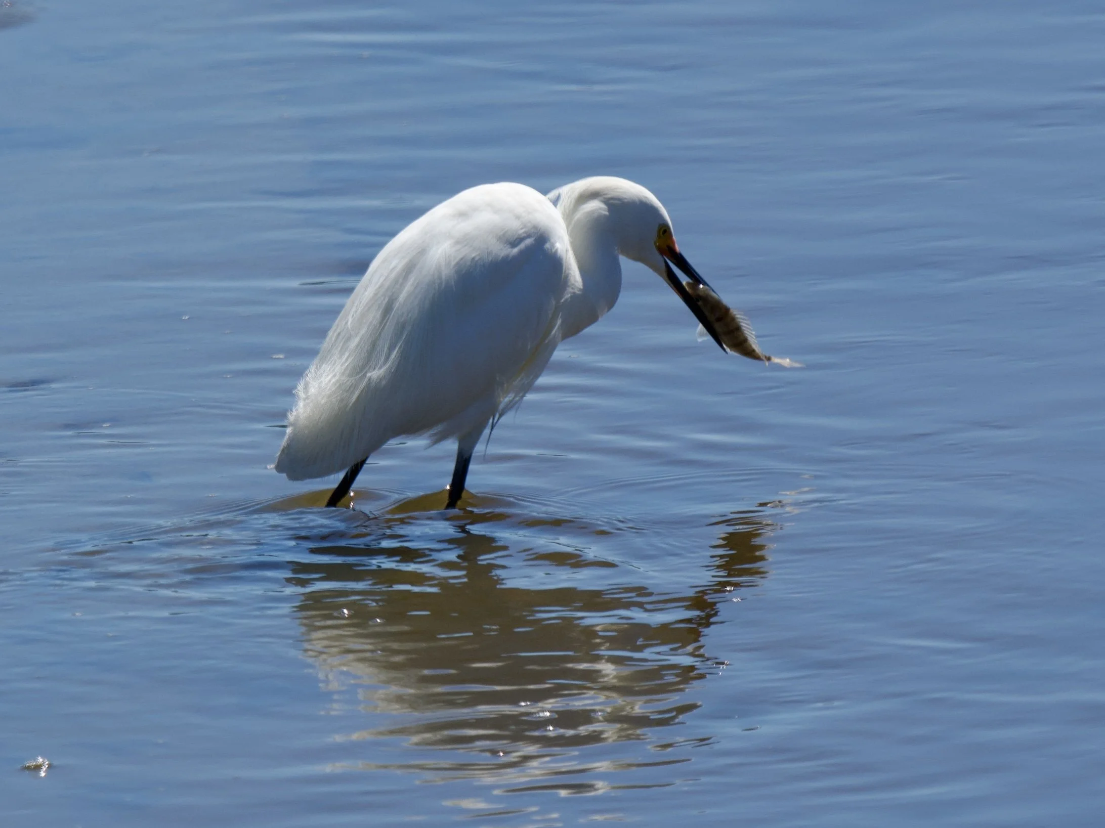 DSC_3735.jpeg