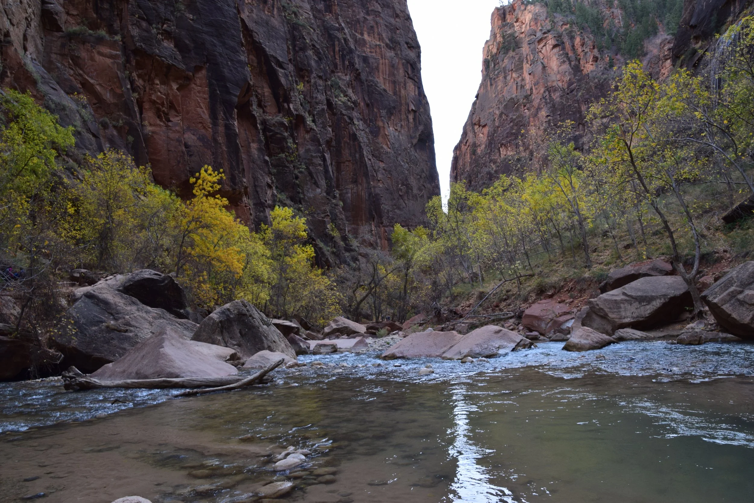 Zion National Park (150).JPG