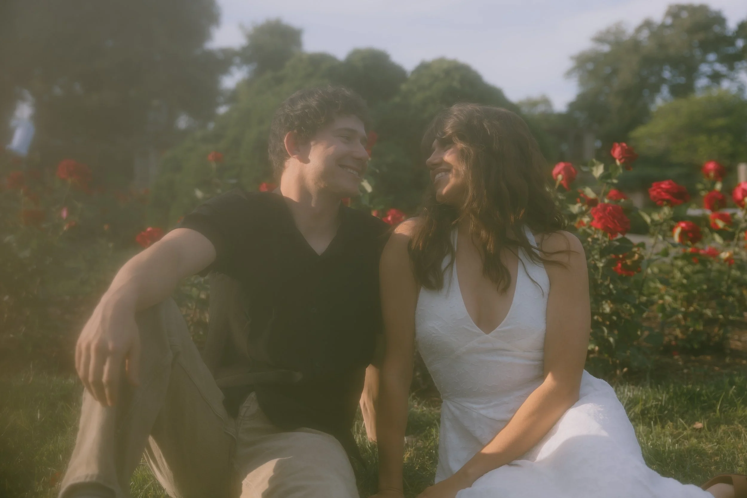 A man and a woman are sitting closely together outdoors among red roses and greenery, looking into each other's eyes and smiling.