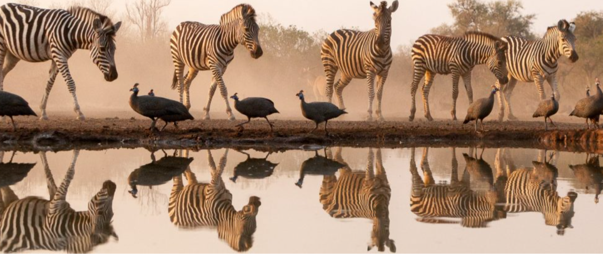 Conflict management starts with self