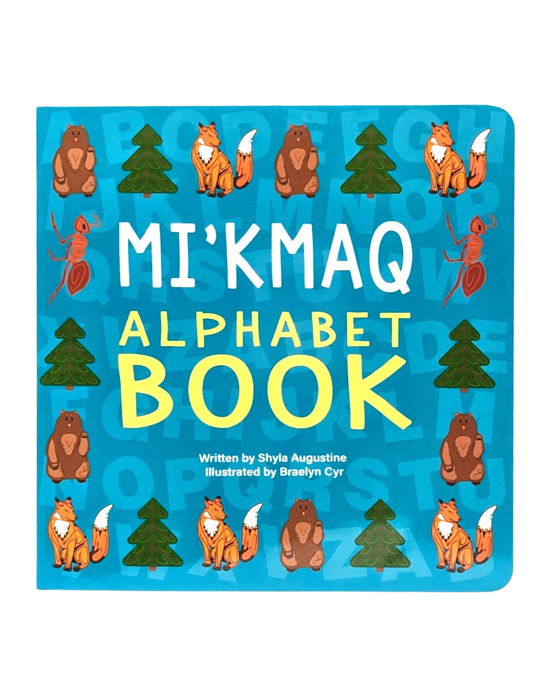 Mi'kmaq Alphabet Book Front.webp