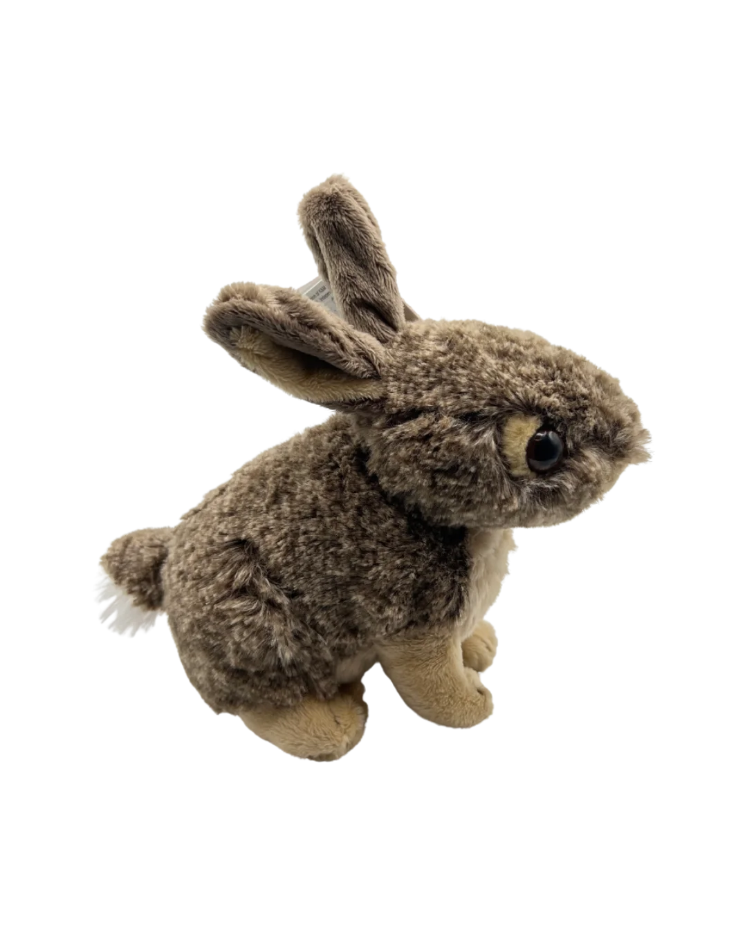 bunnyside.webp