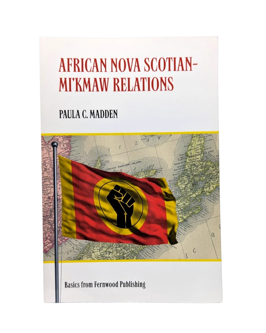 African nova scotian mi'kmaw relations front.webp