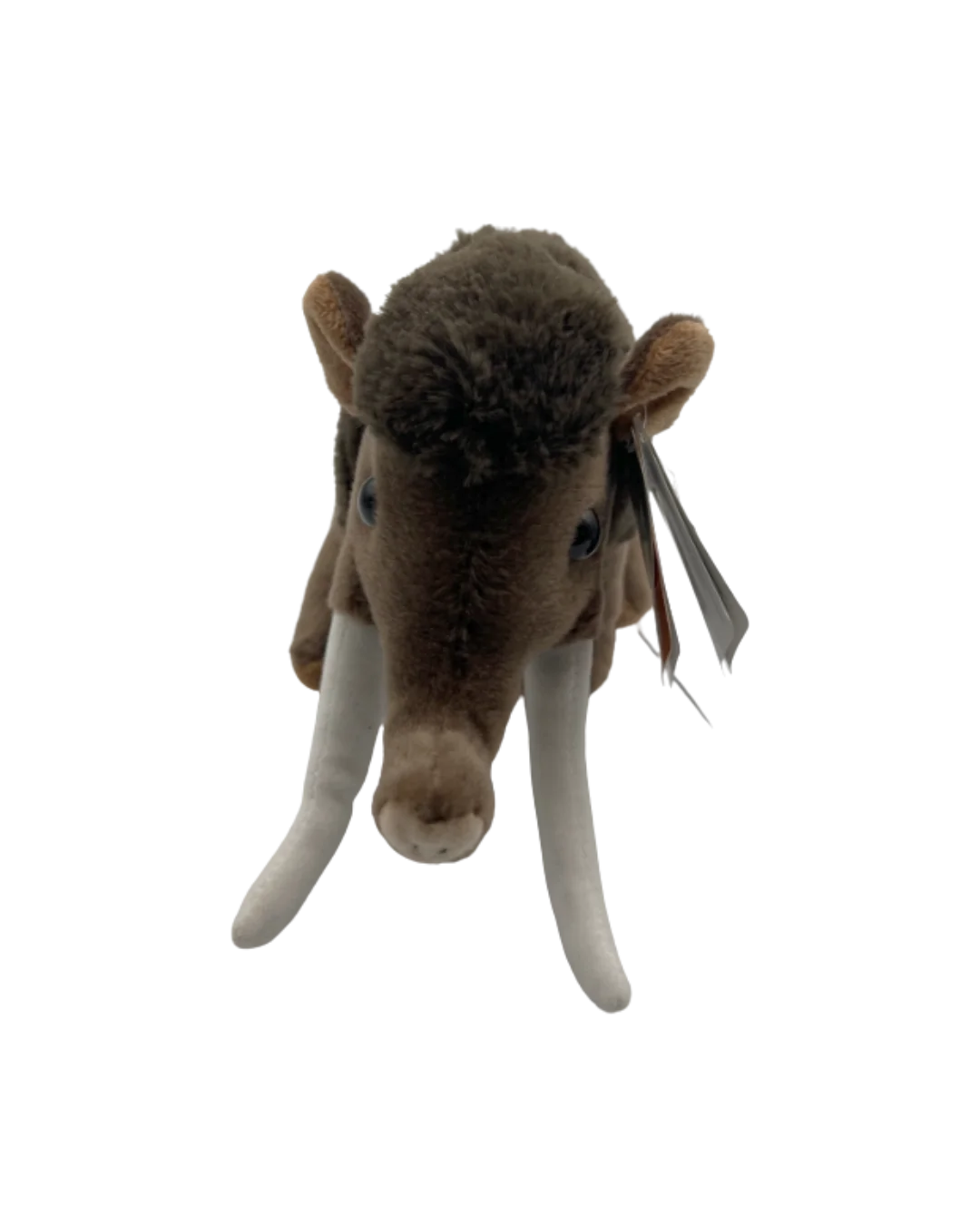 mastodonfront.webp