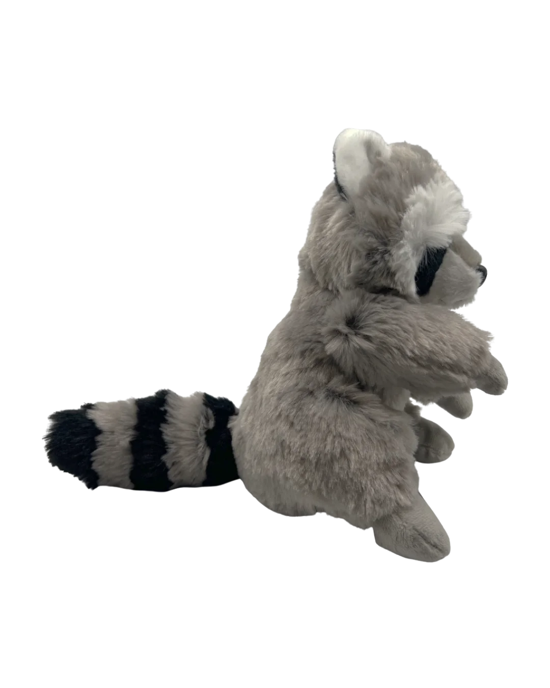raccoonside.webp