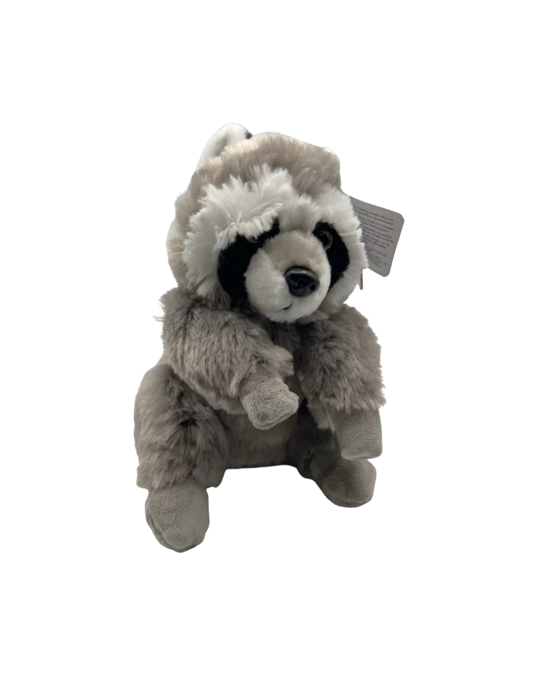 raccoonfront.webp