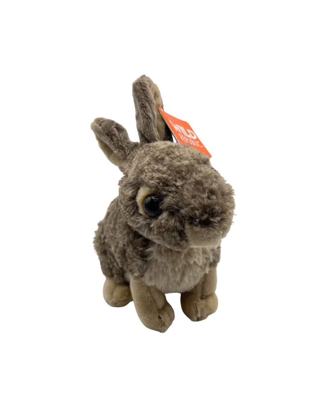 bunnyfront.webp