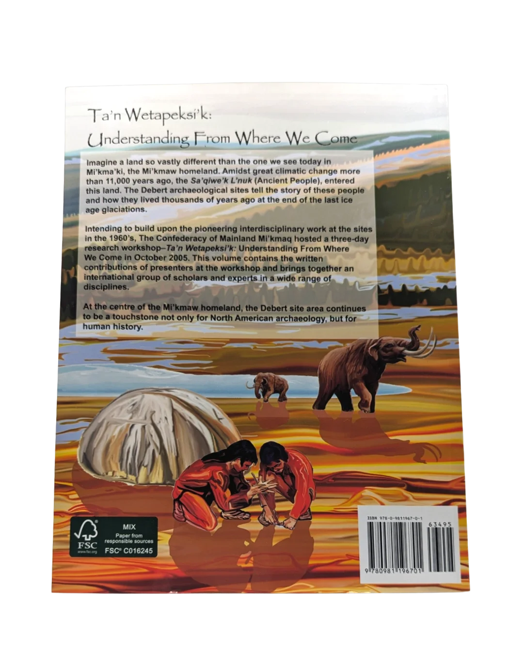 understanding from where we came back.webp