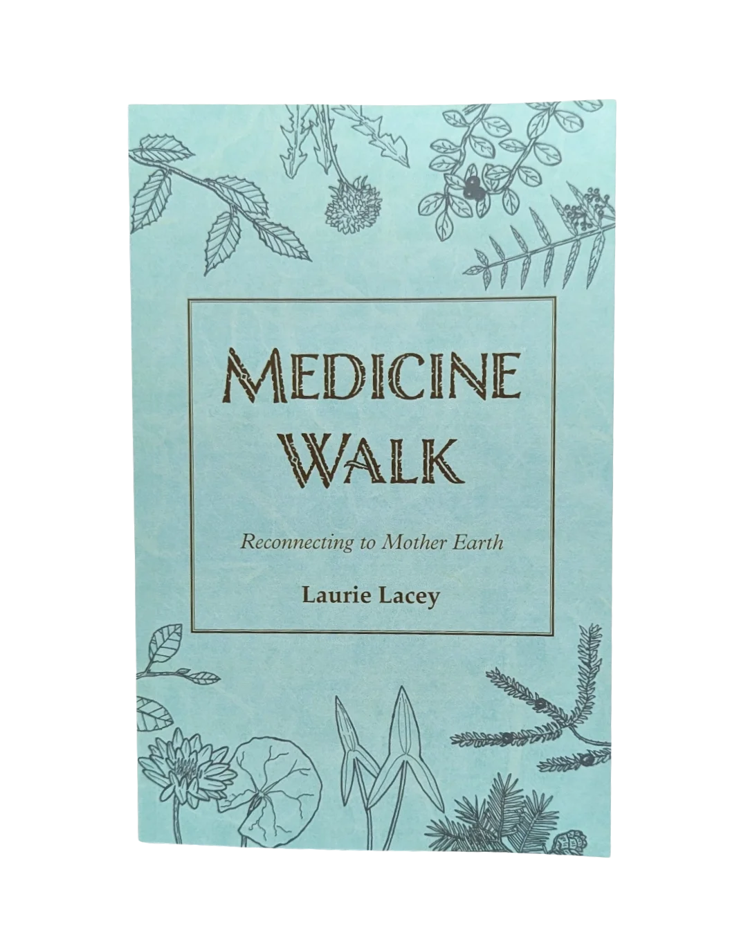 medicine walk front.webp