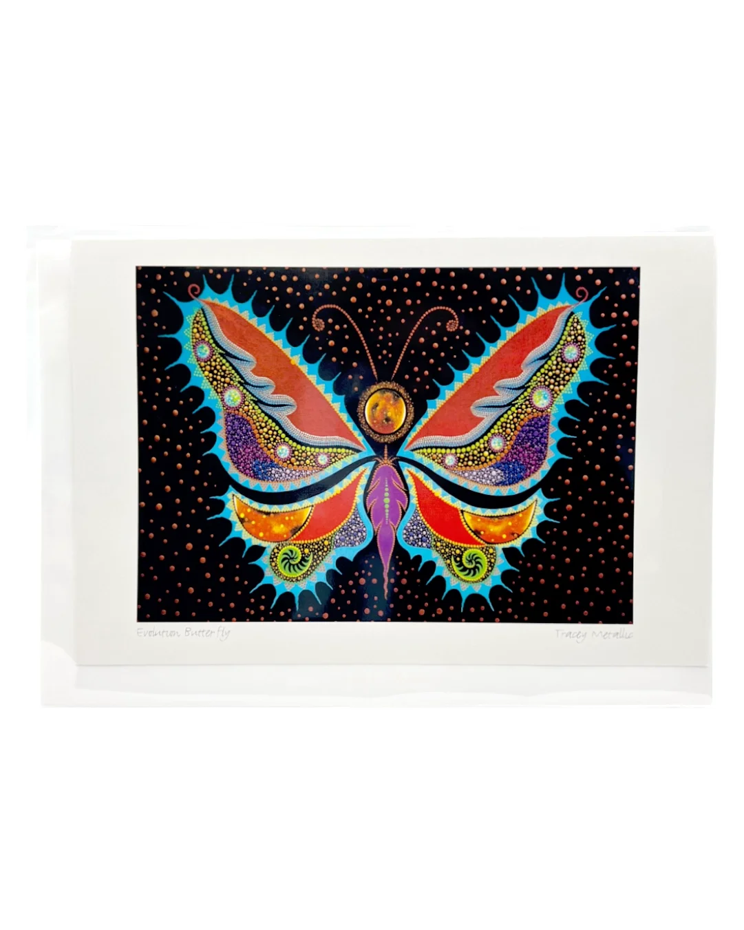 Evolution Butterfly Front.webp