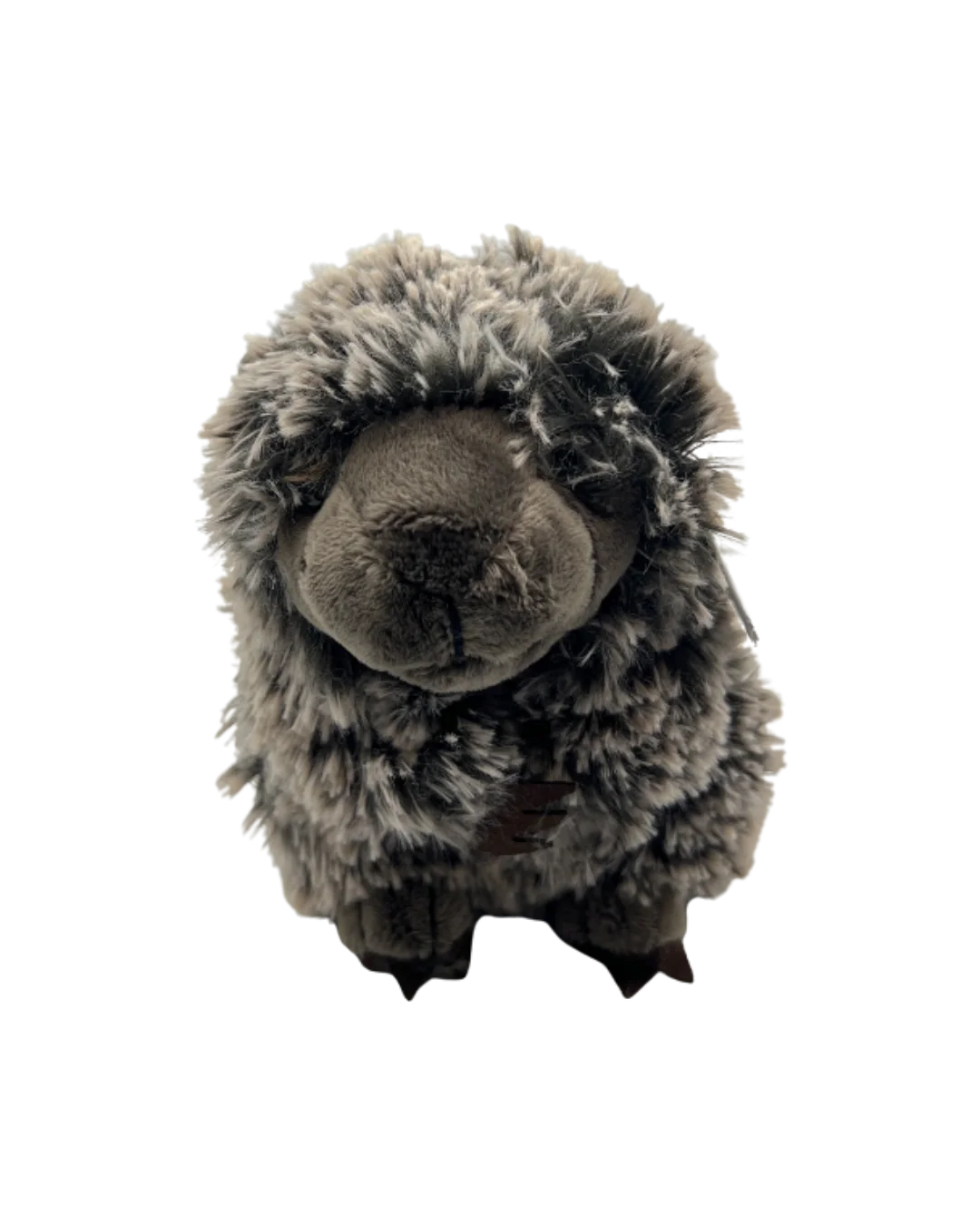 porkyfront.webp