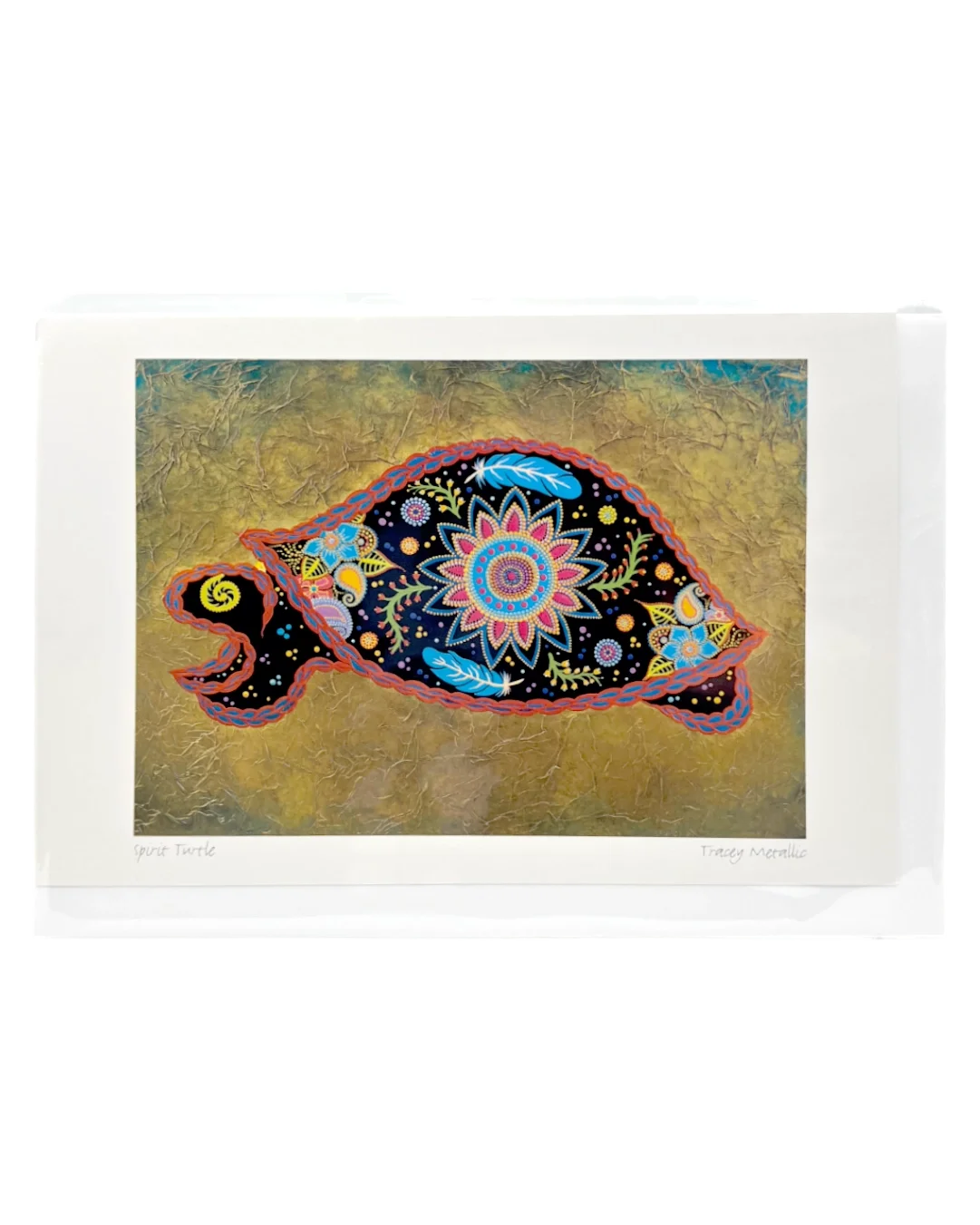 Spirit Turtle Front.webp