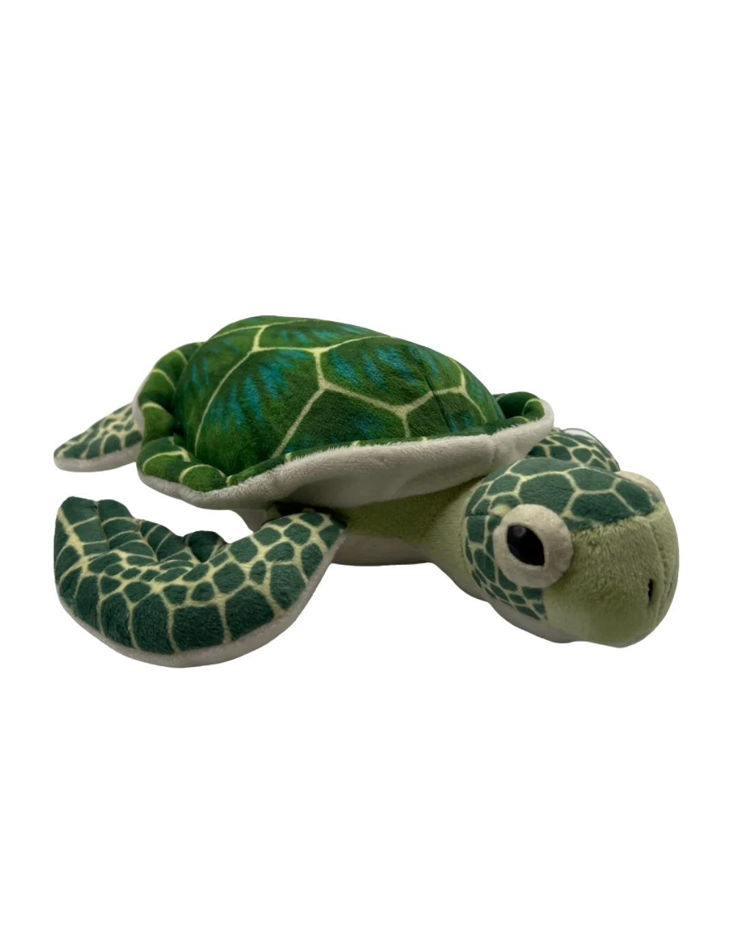 turtleside.webp