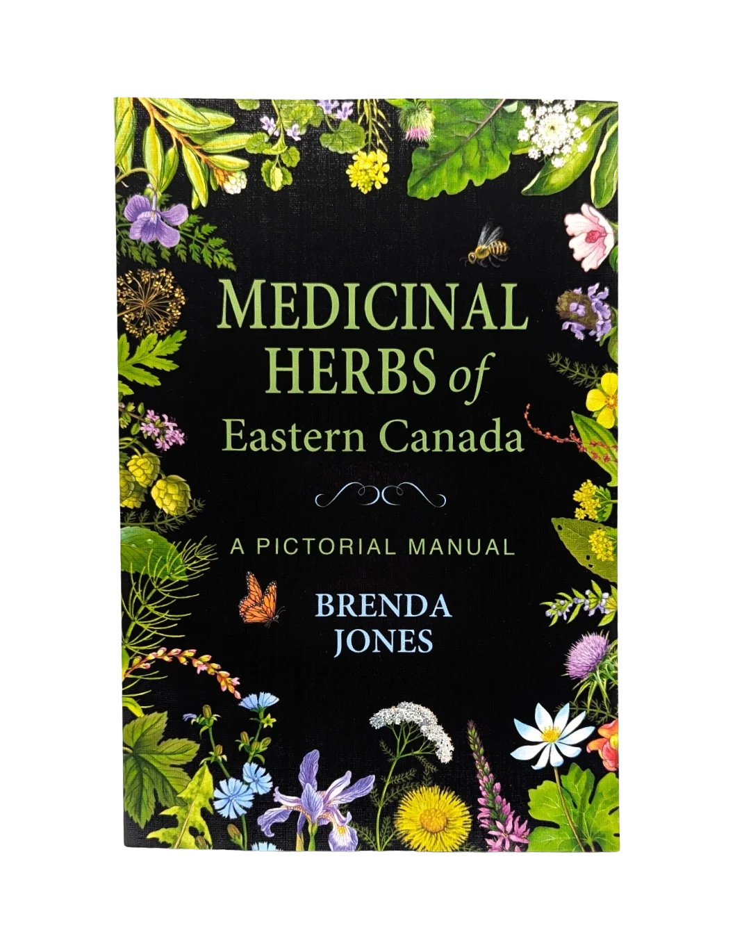 medicinal herbs of east canada front.webp