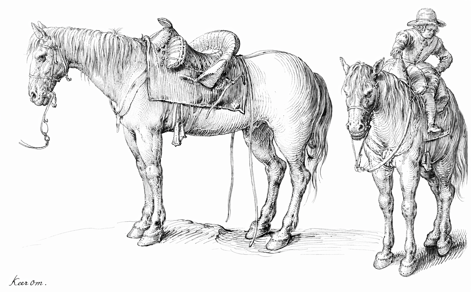 Equine study with rider