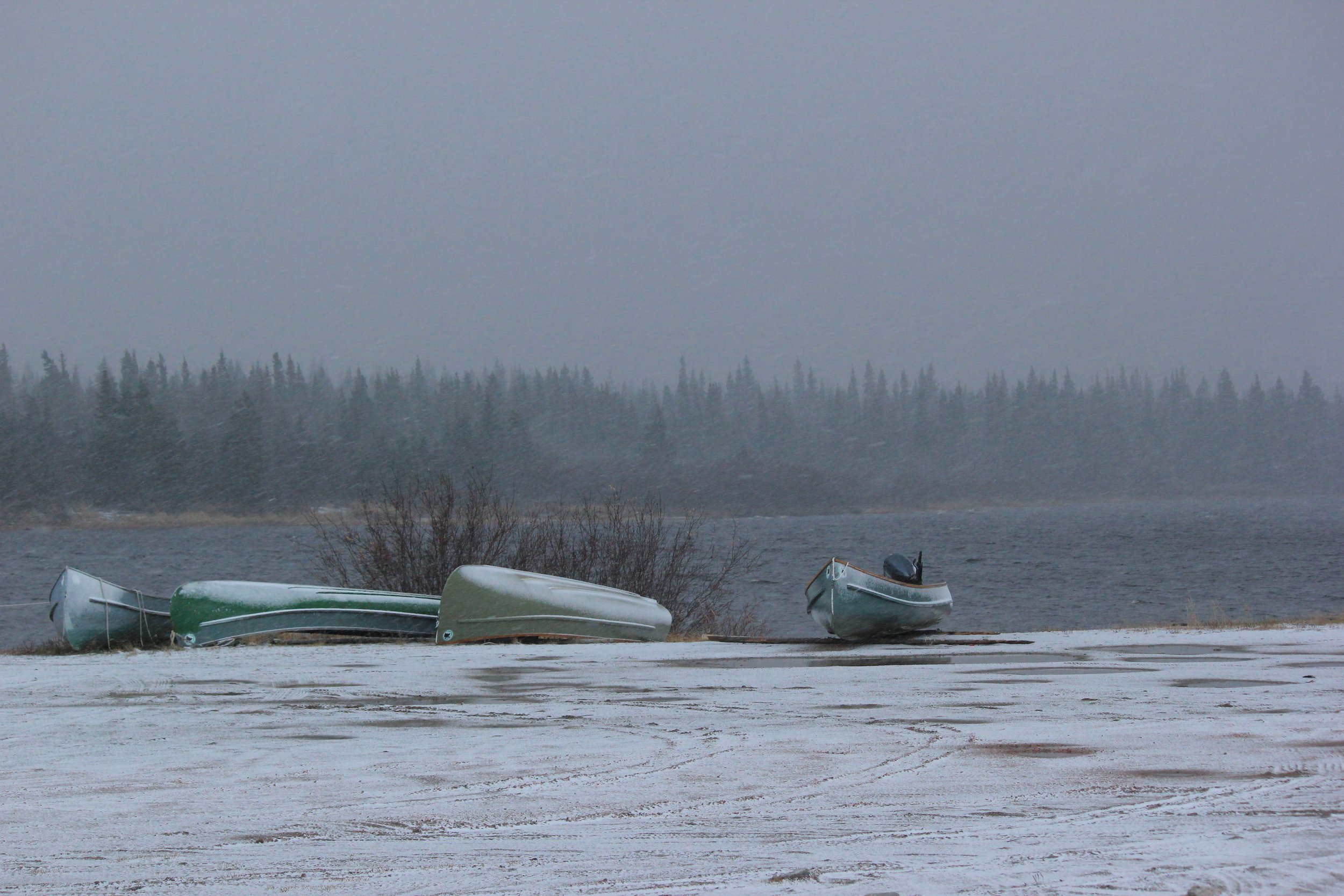 Snowy scene, Wemindji, Eeyou Istchee, Québec. November 2011. Photograph by Frances Wilkins.