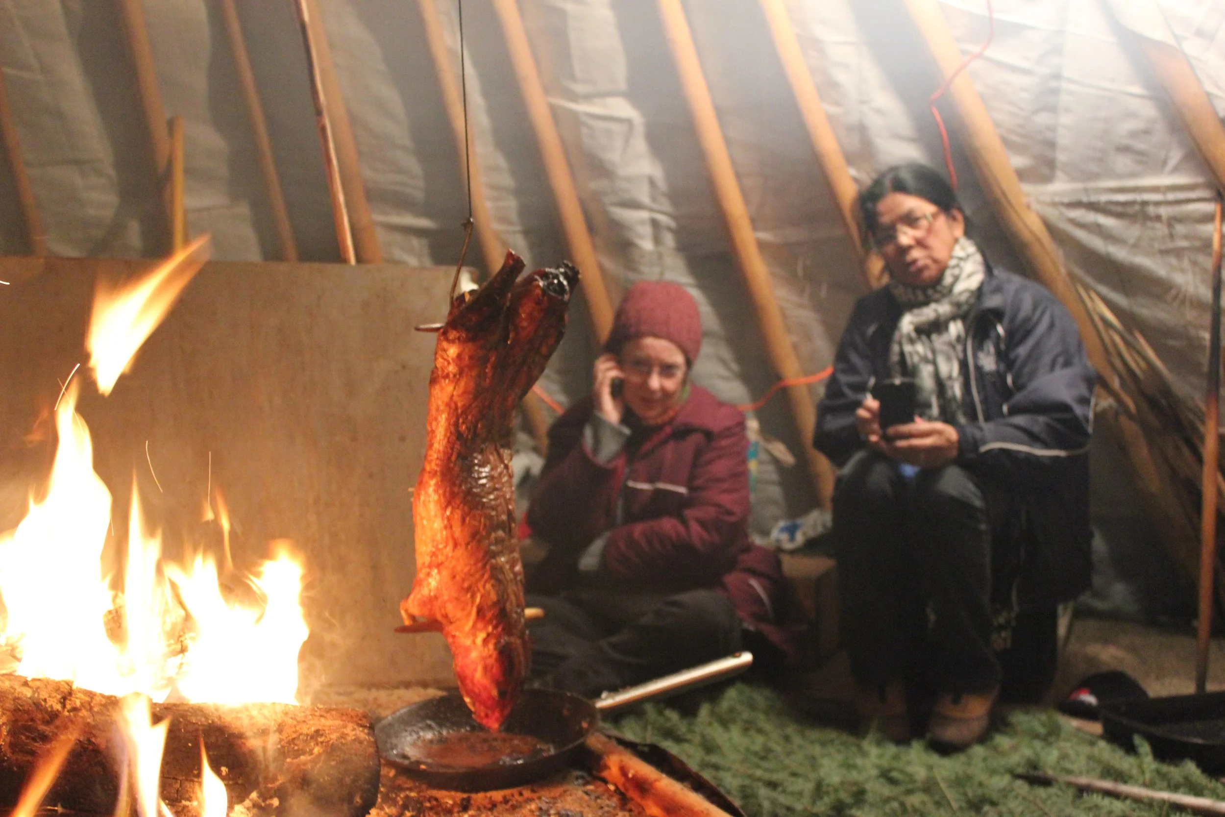Cooking beaver in Wemindji, Eeyou Istchee, Québec. November 2011. Photograph by Frances Wilkins.