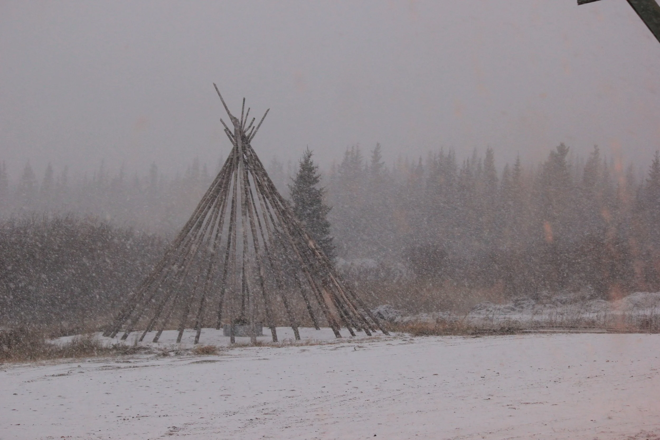 Snowy scene, Wemindji, Eeyou Istchee, Québec. November 2011. Photograph by Frances Wilkins.