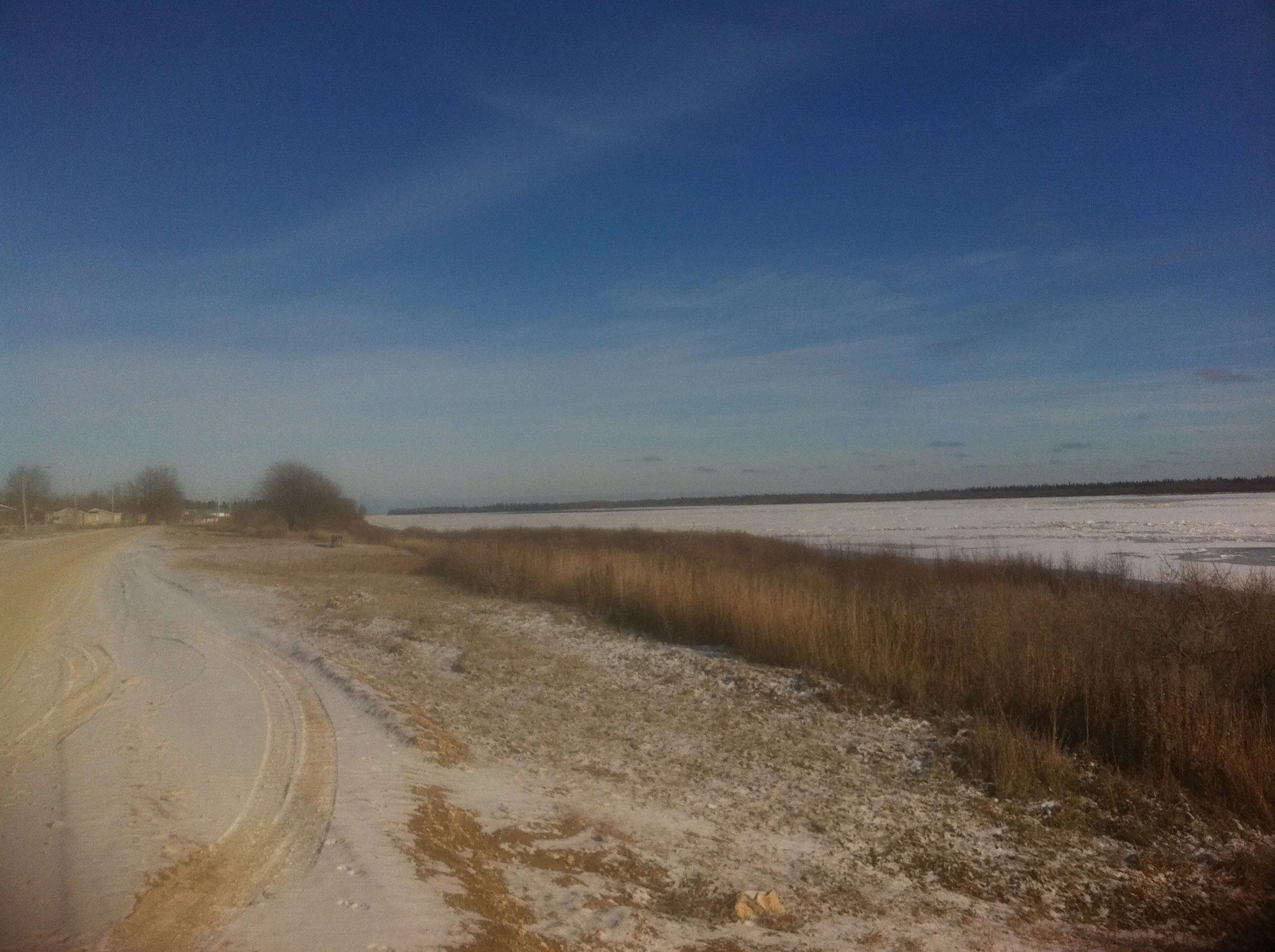 Along the Moose River, Moose Factory, Northern Ontario, November 2011. Photograph by Frances Wilkins. 