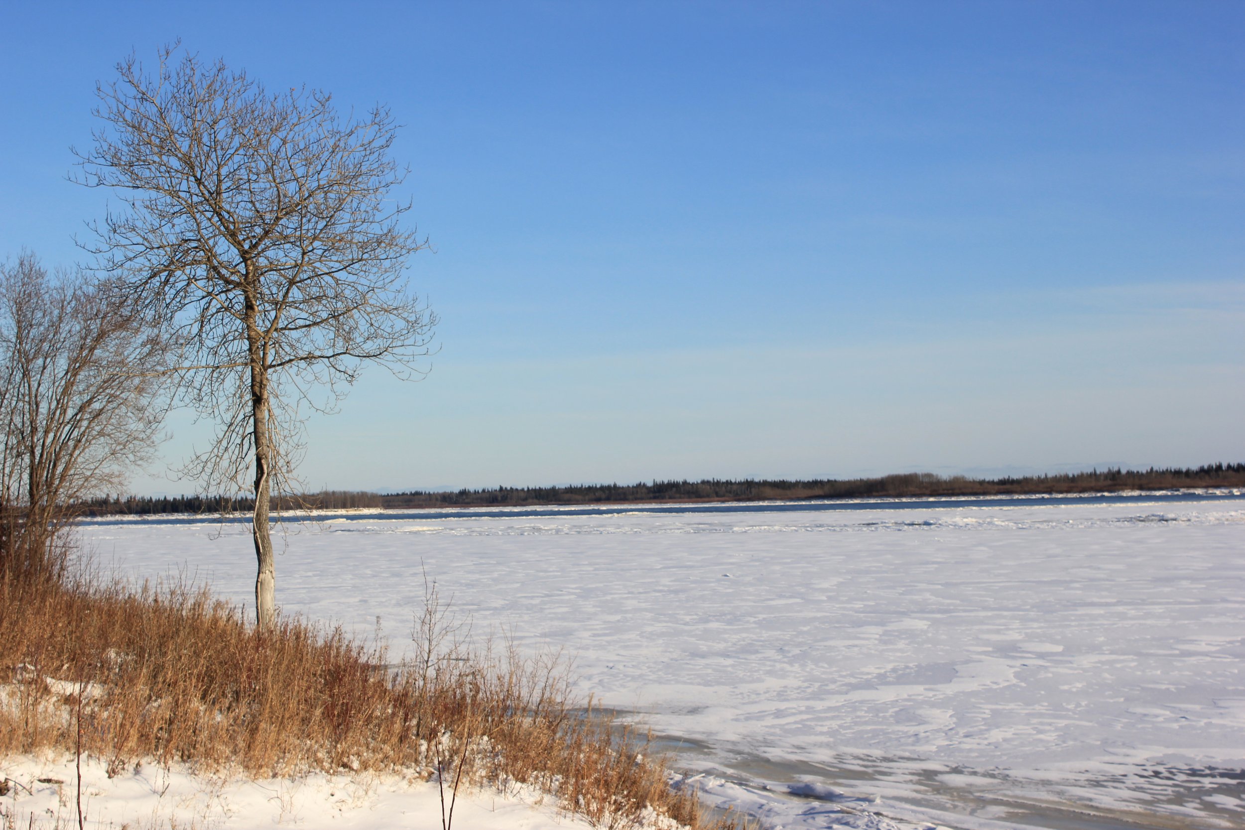 Frozen Moose River, Moose Factory, Northern Ontario, December 2011. Photograph by Frances Wilkins. 
