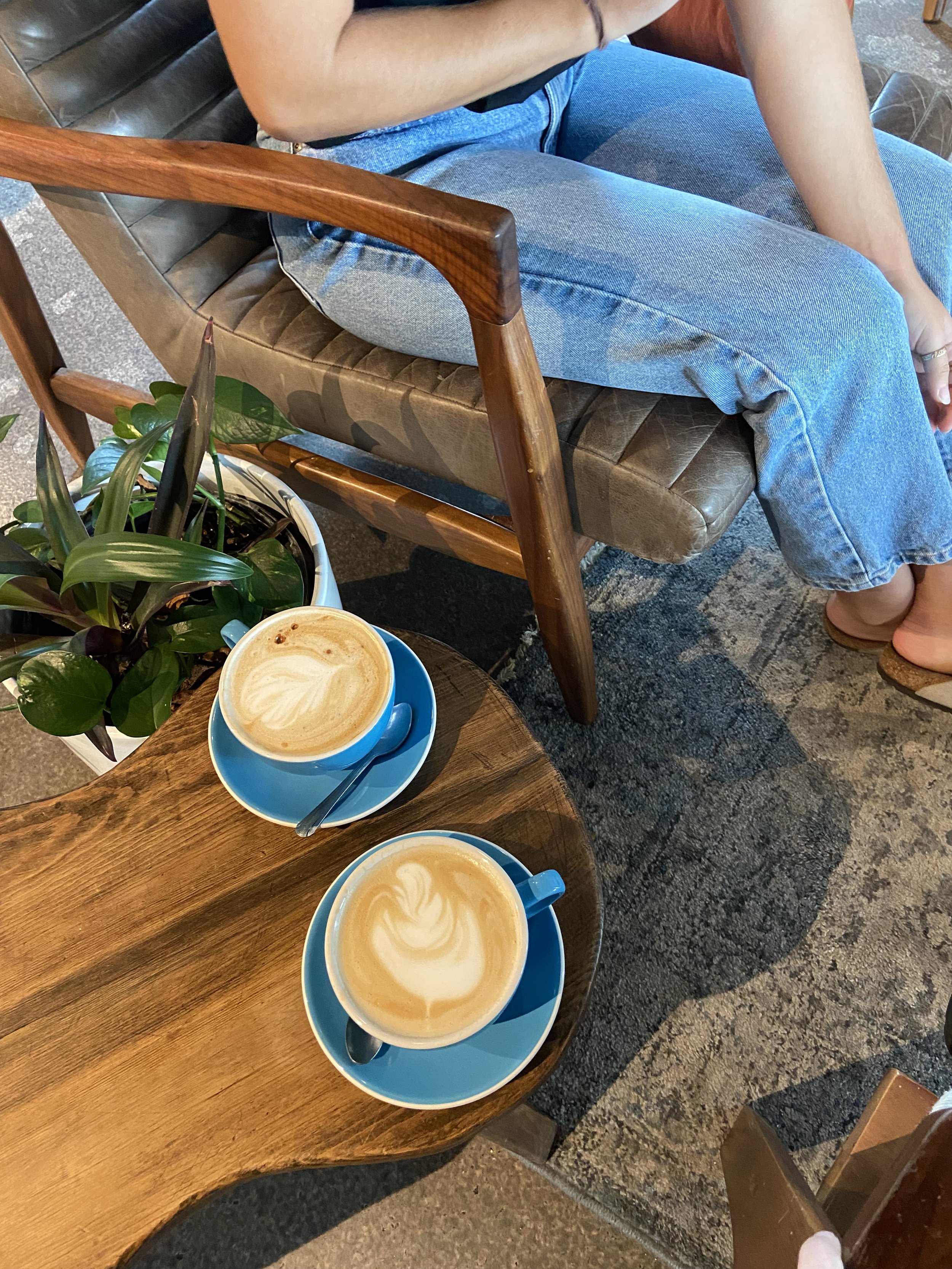 Two cups of latte with white swirl foam designs on top sit on small blue saucers on a wooden table. A green potted plant with broad leaves is partially in the frame, and a person wearing blue jeans and a black top is sitting in a brown leather and wooden chair with a curved armrest.