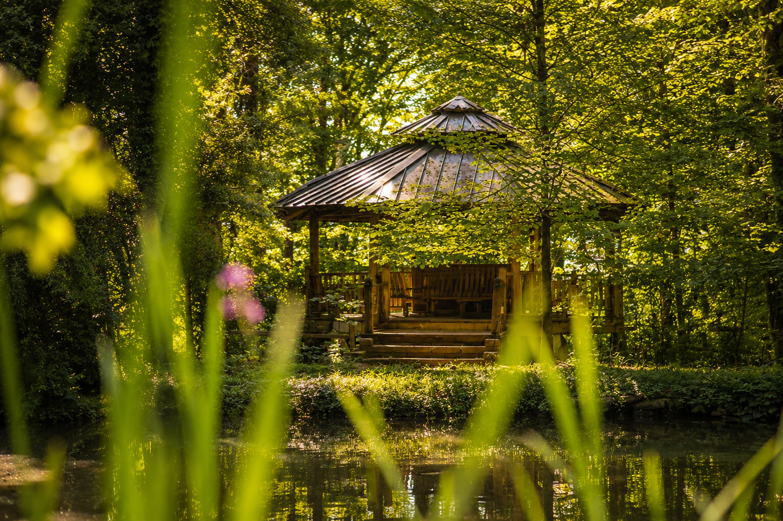 A wooden gazebo surrounded by lush green trees, with a small pond in front and tall grass partially obscuring the view.