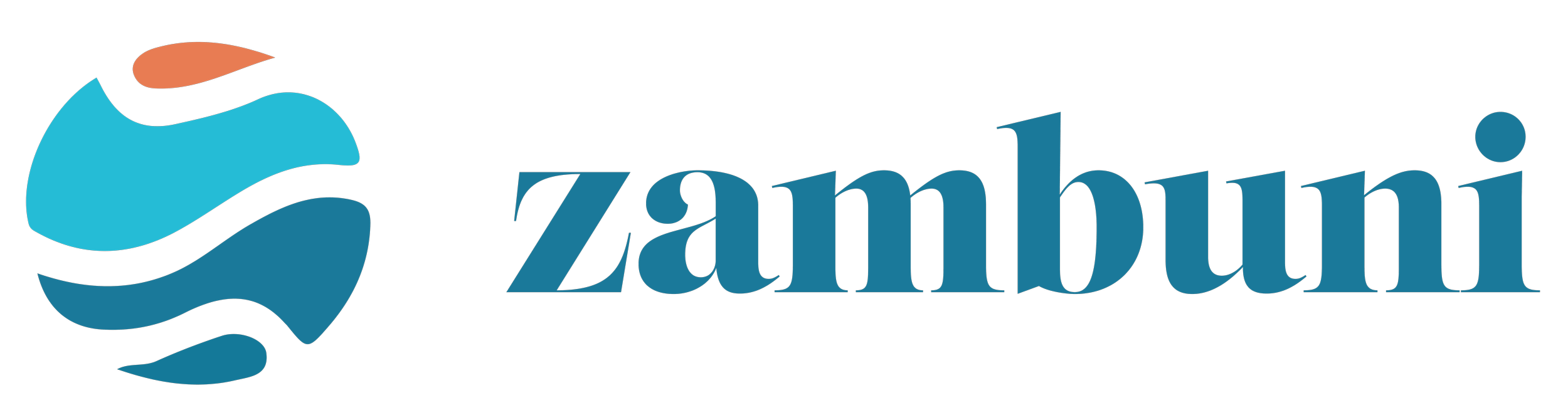 Zamboni logo with stylized blue ice resurfacing machine icon and the word 'Zamboni' in blue lettering.