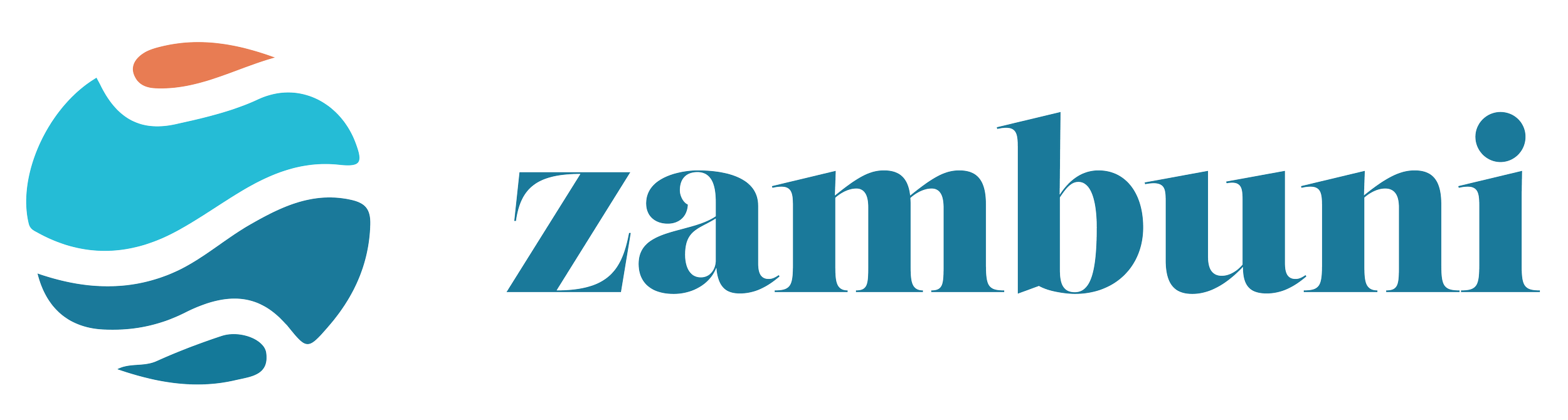 Zambia logo with stylized blue dolphin and orange sun above the text 'zambian' in blue font.
